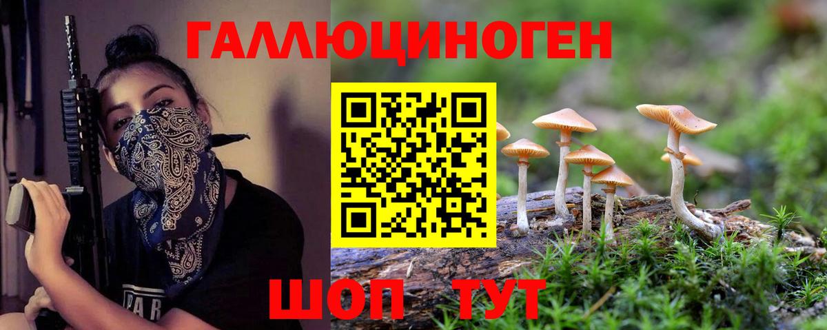 Псилоцибиновые грибы мицелий  Вход с VPN  где продают наркотики  Чехов 